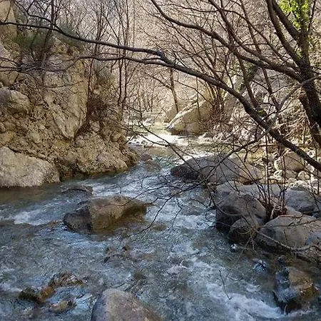 Sani